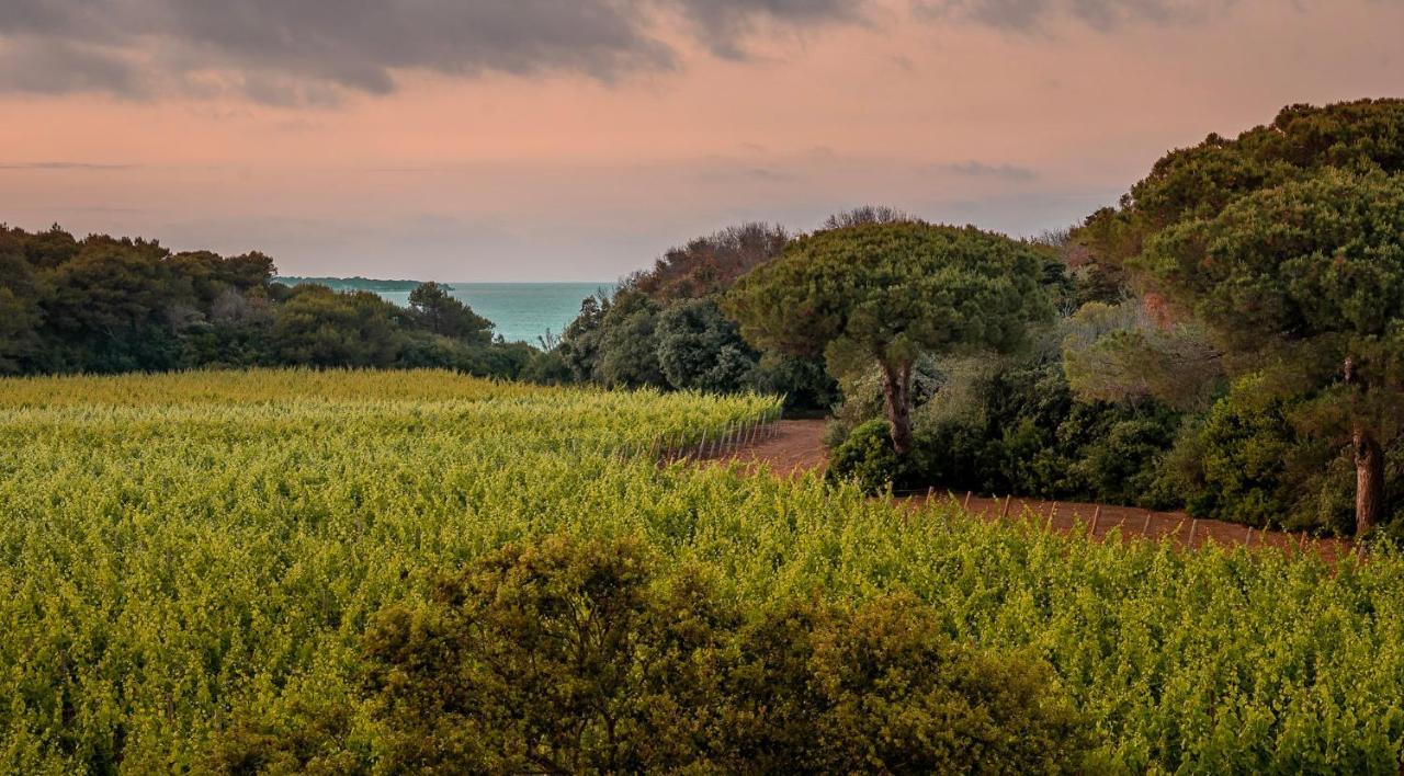 Masseria Mongio Dell'Elefante Otranto Bagian luar foto
