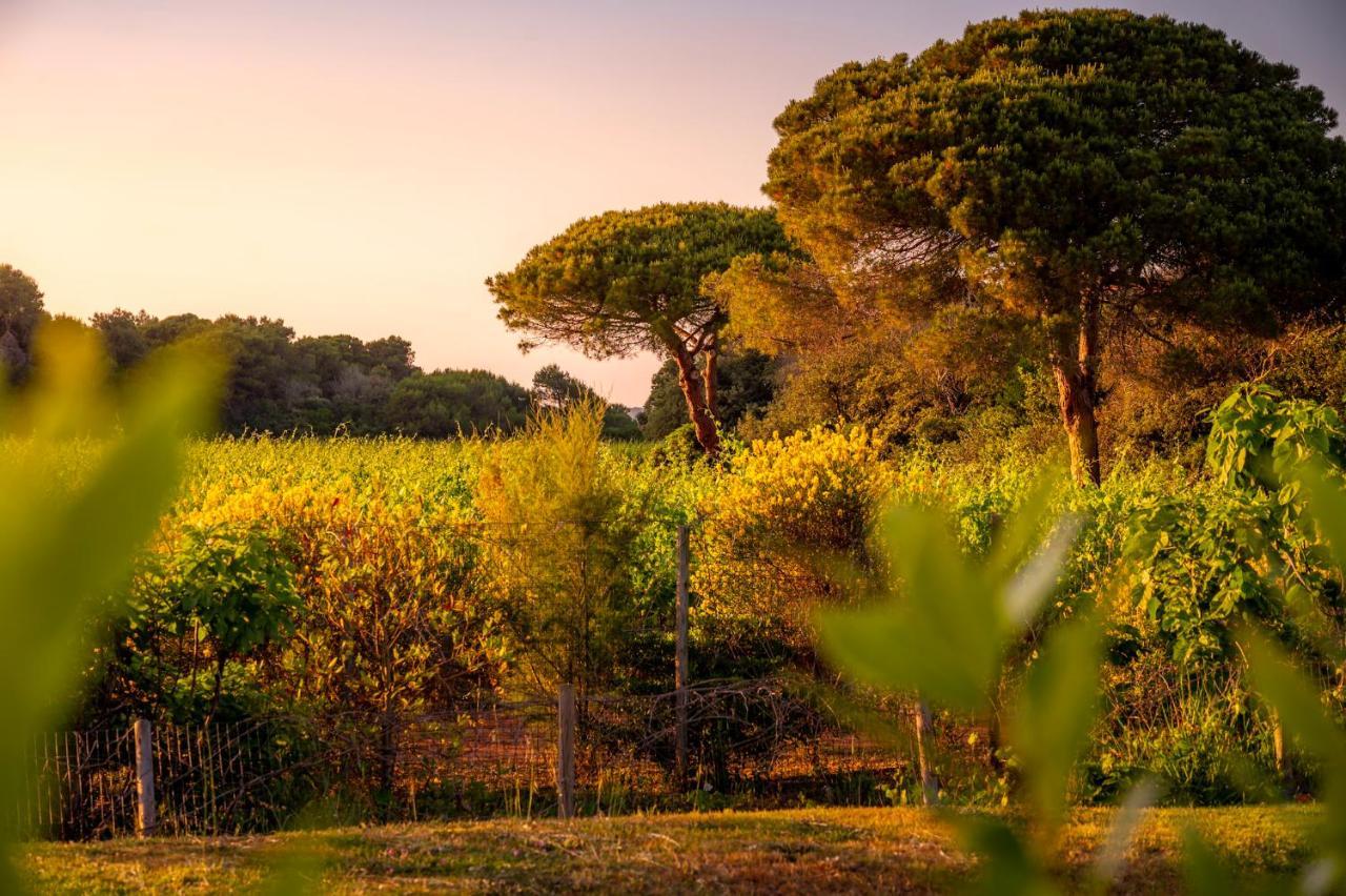 Masseria Mongio Dell'Elefante Otranto Bagian luar foto