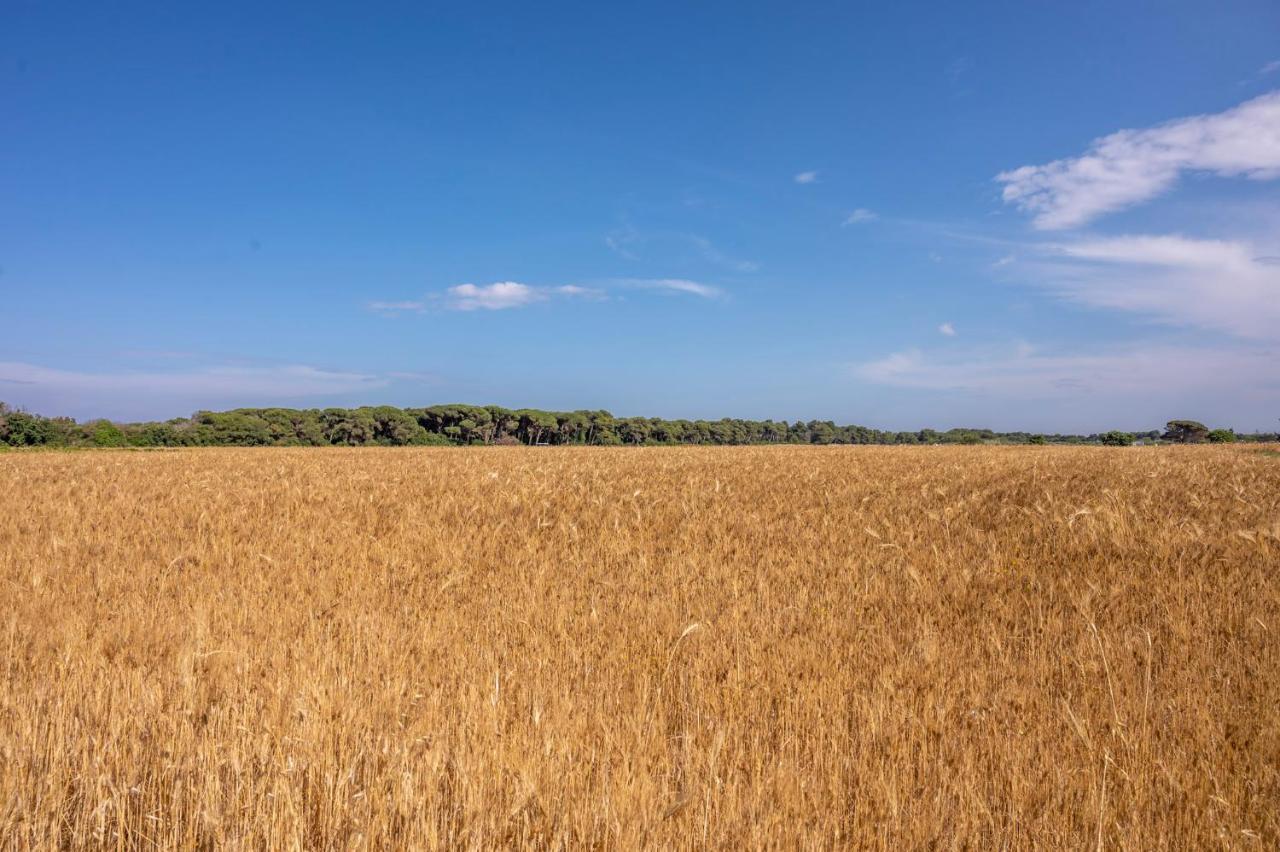 Masseria Mongio Dell'Elefante Otranto Bagian luar foto