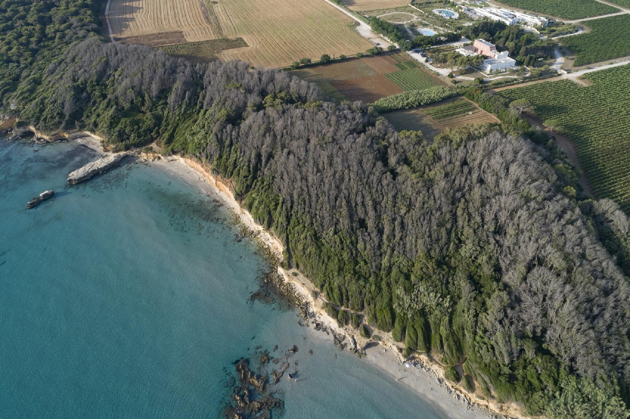 Masseria Mongio Dell'Elefante Otranto Bagian luar foto