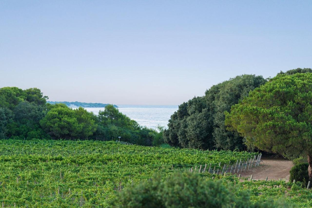 Masseria Mongio Dell'Elefante Otranto Bagian luar foto